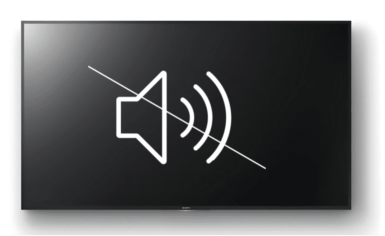 When a TV has no sound